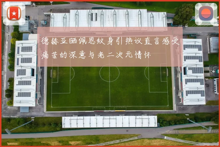 德赫亚晒佩恩纹身引热议直言感受痛苦的深意与老二次元情怀
